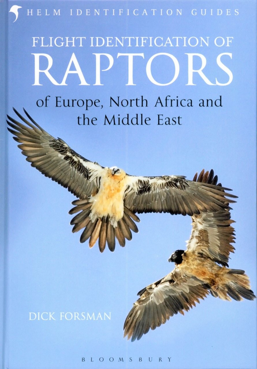 Flight Identification of Raptors Image