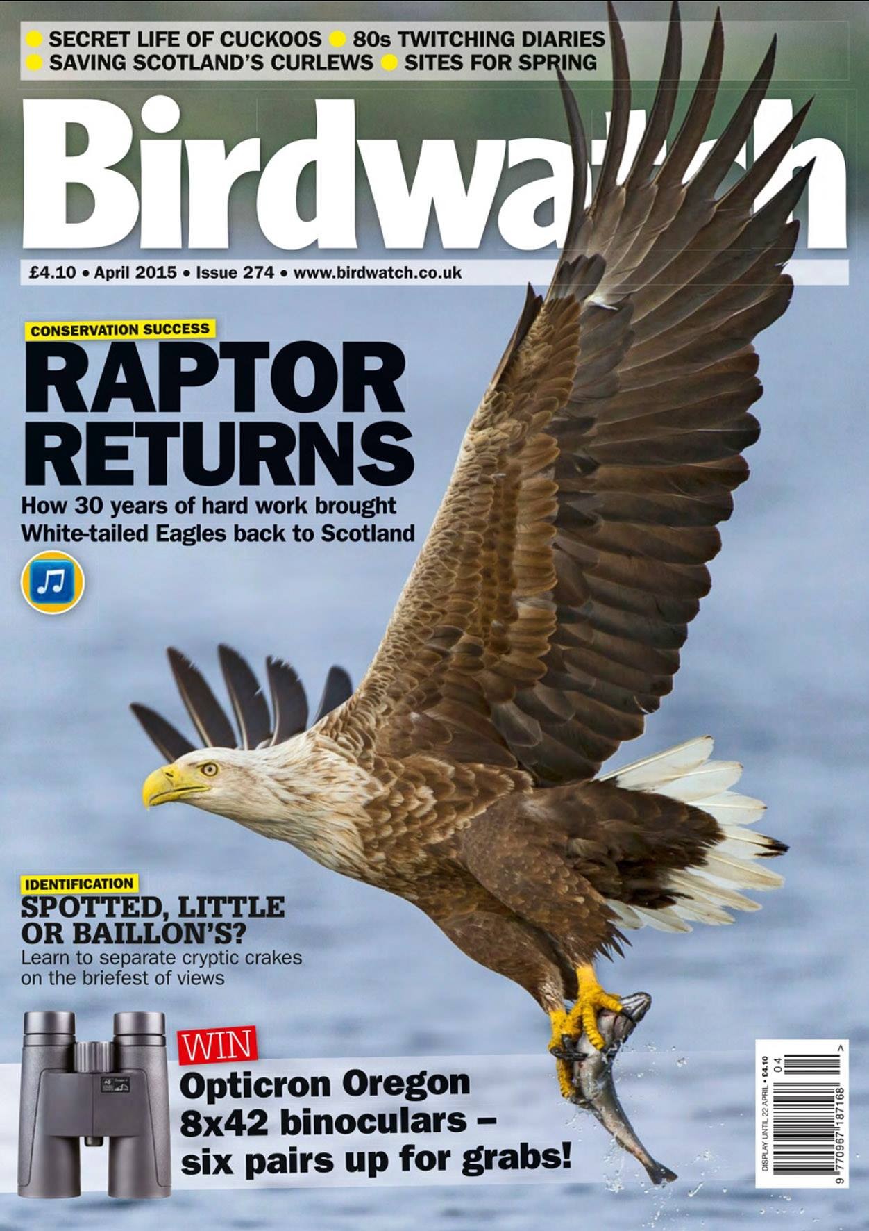 Birdwatch Image