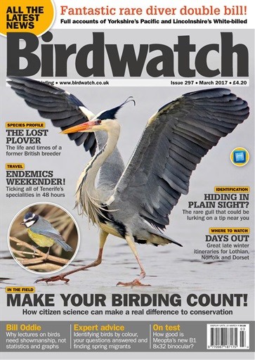 Birdwatch Image